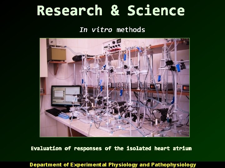 Research & Science In vitro methods Evaluation of responses of the isolated heart atrium