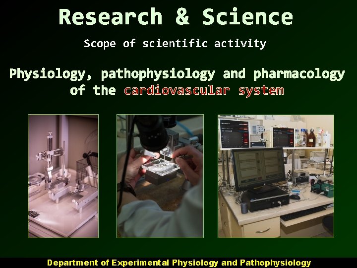 Research & Science Scope of scientific activity Physiology, pathophysiology and pharmacology of the cardiovascular