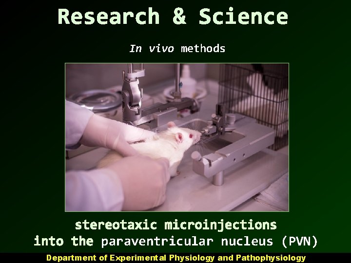 Research & Science In vivo methods stereotaxic microinjections into the paraventricular nucleus (PVN) Department