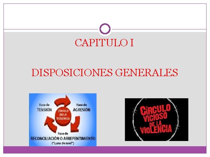 CAPITULO I DISPOSICIONES GENERALES 