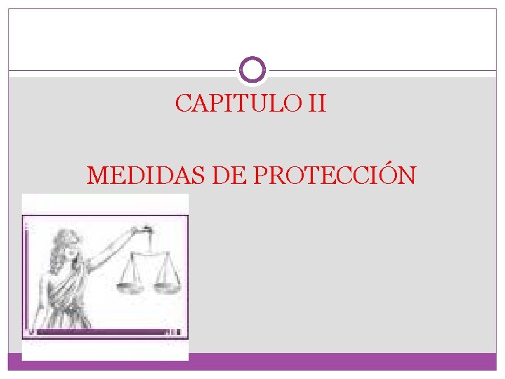 CAPITULO II MEDIDAS DE PROTECCIÓN 
