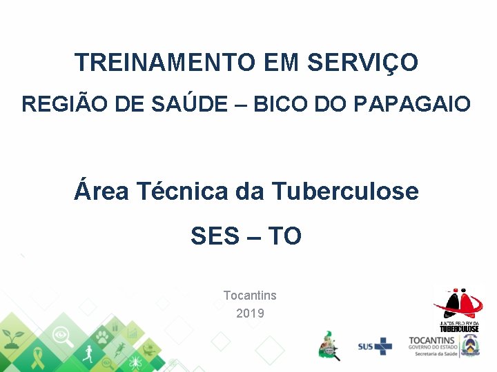 TREINAMENTO EM SERVIÇO REGIÃO DE SAÚDE – BICO DO PAPAGAIO Área Técnica da Tuberculose