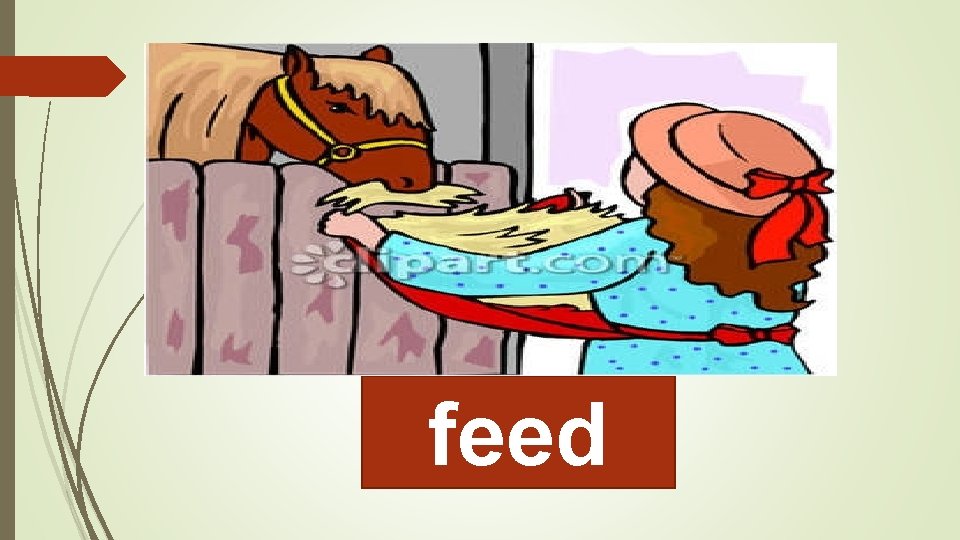 feed 