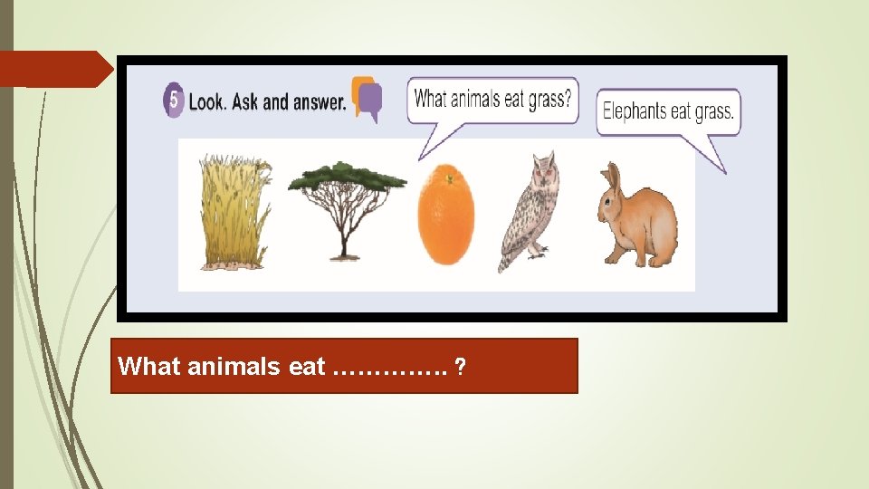 What animals eat …………. . ? 