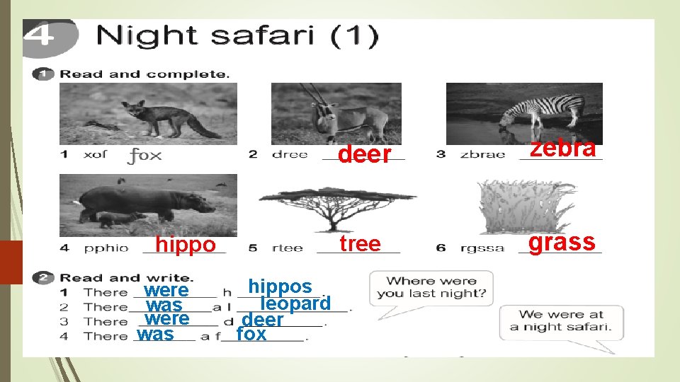 hippo were was hippos leopard deer fox deer zebra tree grass 