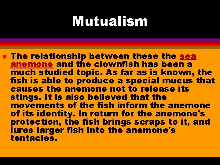 Mutualism l The relationship between these the sea anemone and the clownfish has been