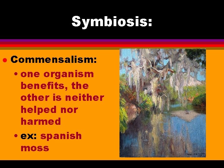 Symbiosis: l Commensalism: • one organism benefits, the other is neither helped nor harmed