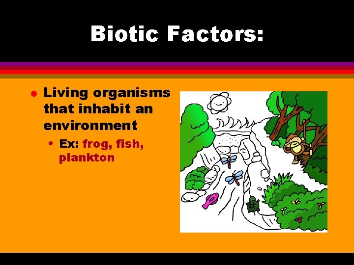 Biotic Factors: l Living organisms that inhabit an environment • Ex: frog, fish, plankton