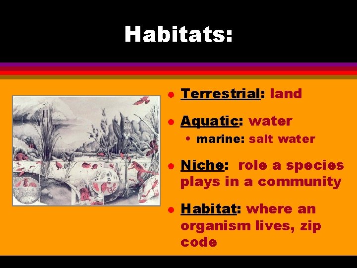 Habitats: l Terrestrial: land l Aquatic: water • marine: salt water l l Niche: