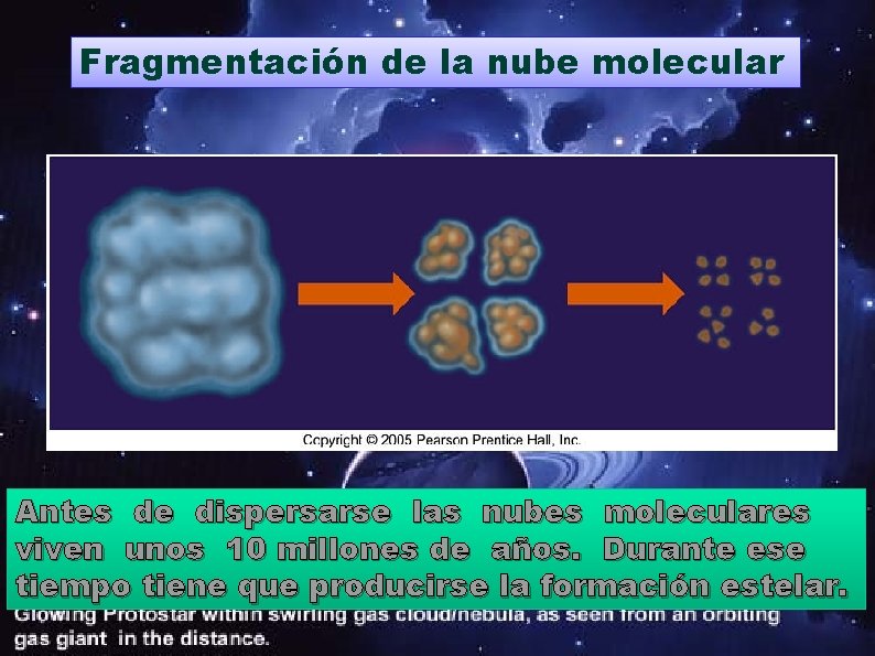 Fragmentación de la nube molecular Antes de dispersarse las nubes moleculares viven unos 10