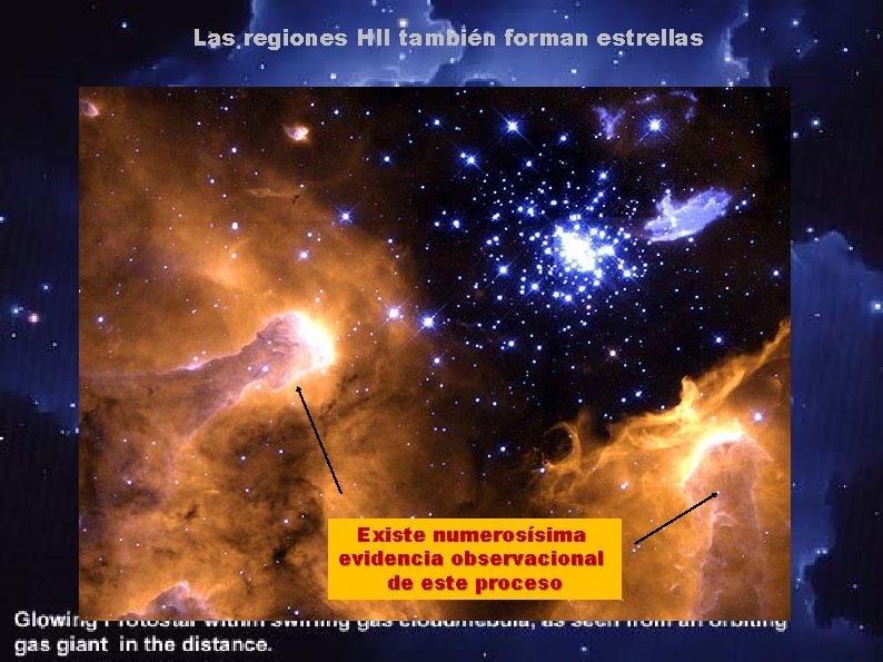 Las regiones HII también forman estrellas Existe numerosísima evidencia observacional de este proceso 