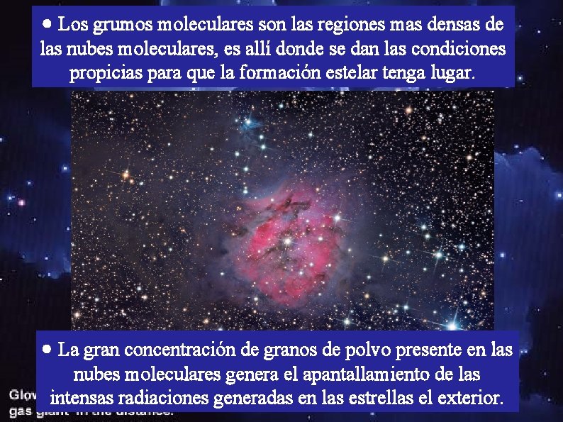  Los grumos moleculares son las regiones mas densas de las nubes moleculares, es