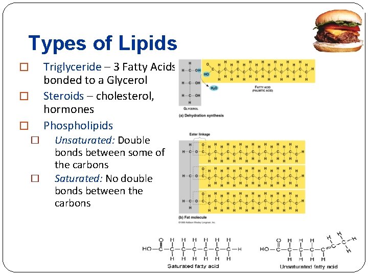 Types of Lipids Triglyceride – 3 Fatty Acids bonded to a Glycerol Steroids –