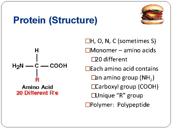 Protein (Structure) �H, O, N, C (sometimes S) �Monomer – amino acids � 20