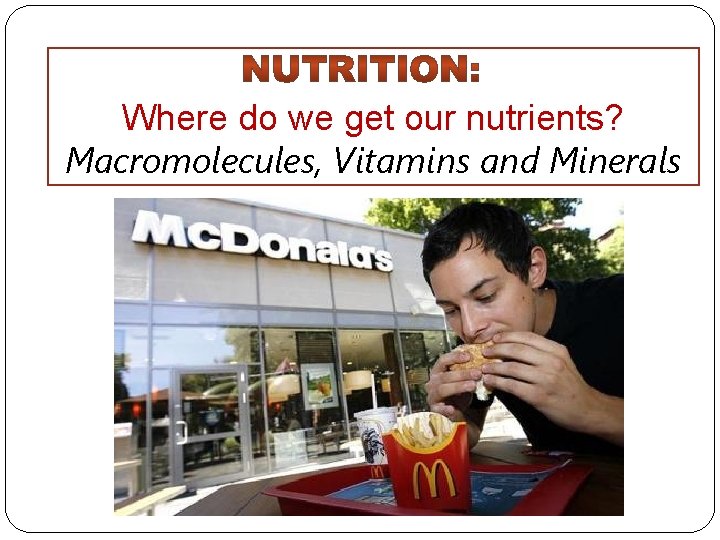 Where do we get our nutrients? Macromolecules, Vitamins and Minerals 