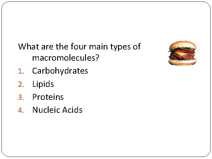 What are the four main types of macromolecules? 1. Carbohydrates 2. Lipids 3. Proteins