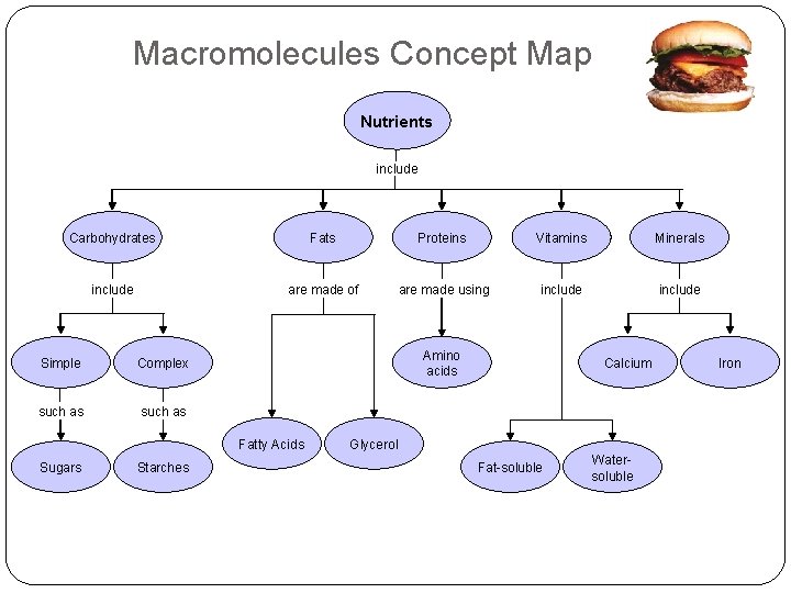 Macromolecules Concept Map Section 38 -1 Nutrients include Carbohydrates Fats Proteins Vitamins Minerals include