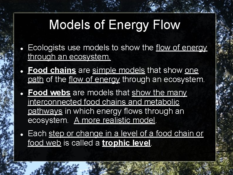 Models of Energy Flow Ecologists use models to show the flow of energy through