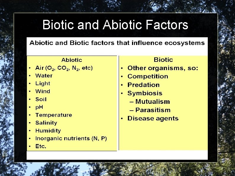Biotic and Abiotic Factors 