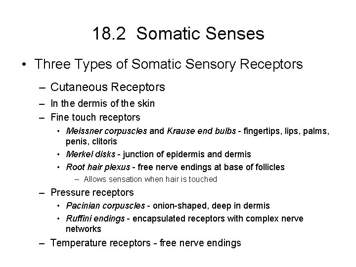 18. 2 Somatic Senses • Three Types of Somatic Sensory Receptors – Cutaneous Receptors