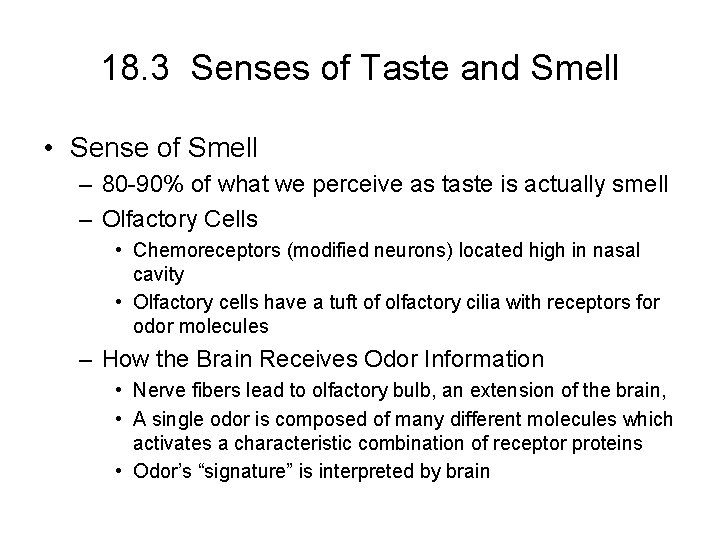 18. 3 Senses of Taste and Smell • Sense of Smell – 80 -90%