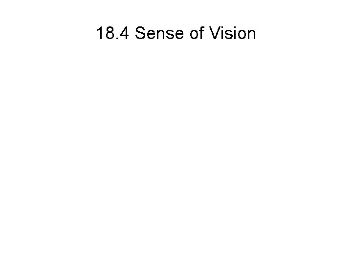 18. 4 Sense of Vision 