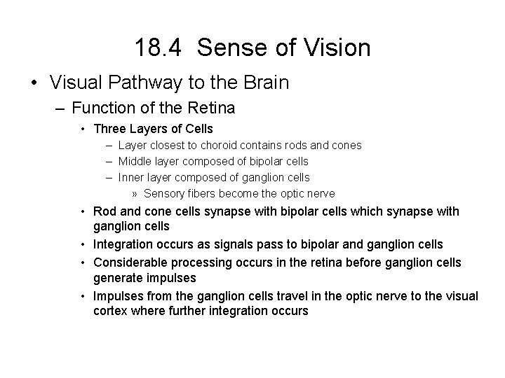 18. 4 Sense of Vision • Visual Pathway to the Brain – Function of