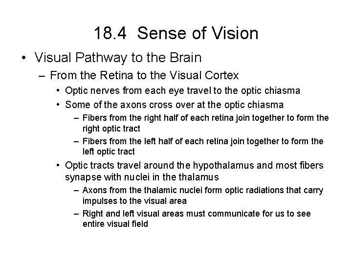 18. 4 Sense of Vision • Visual Pathway to the Brain – From the