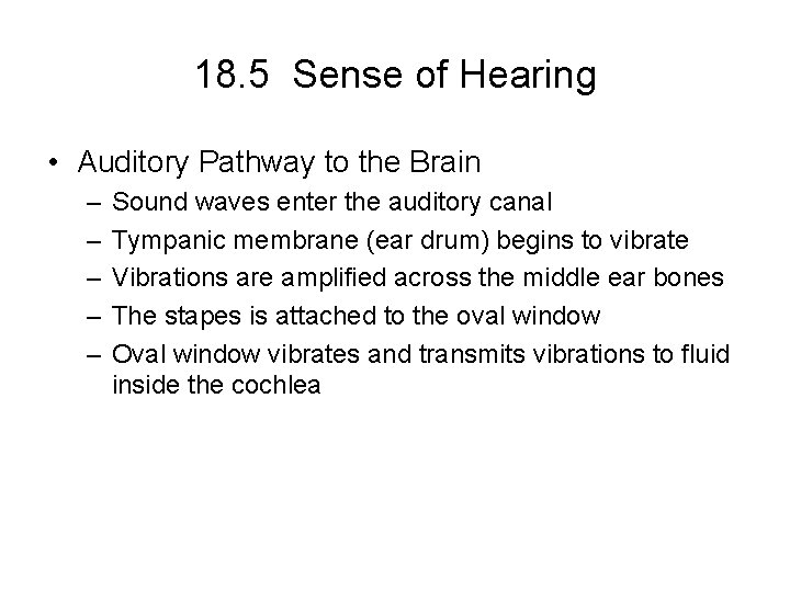 18. 5 Sense of Hearing • Auditory Pathway to the Brain – – –