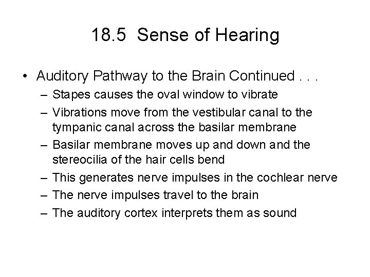 18. 5 Sense of Hearing • Auditory Pathway to the Brain Continued. . .