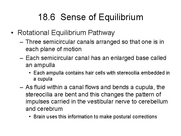 18. 6 Sense of Equilibrium • Rotational Equilibrium Pathway – Three semicircular canals arranged