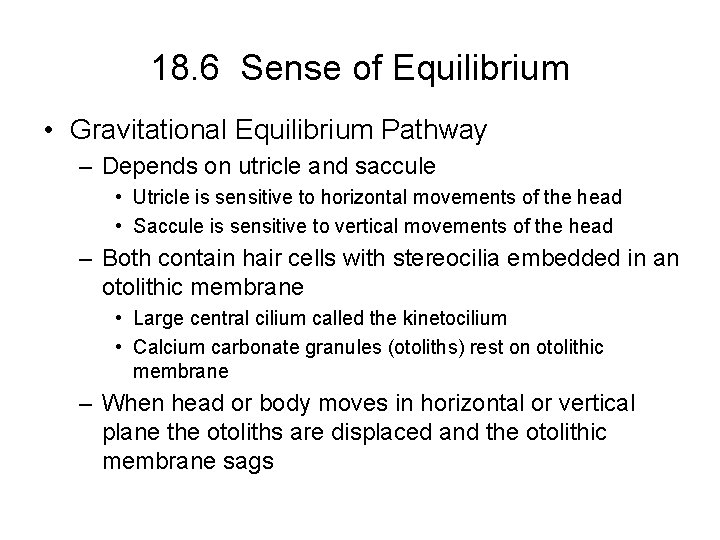 18. 6 Sense of Equilibrium • Gravitational Equilibrium Pathway – Depends on utricle and