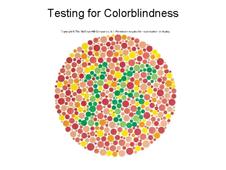 Testing for Colorblindness 