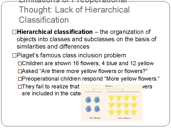 Limitations of Preoperational Thought: Lack of Hierarchical Classification �Hierarchical classification – the organization of