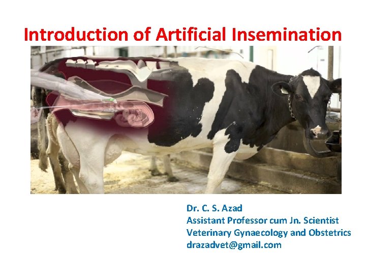 Introduction of Artificial Insemination Dr. C. S. Azad Assistant Professor cum Jn. Scientist Veterinary