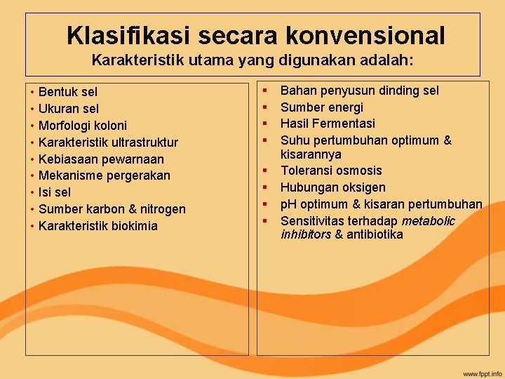 Klasifikasi secara konvensional Karakteristik utama yang digunakan adalah: • Bentuk sel • Ukuran sel