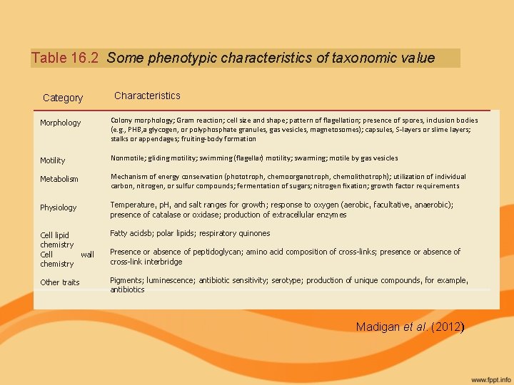 Table 16. 2 Some phenotypic characteristics of taxonomic value Category Characteristics Morphology Colony morphology;