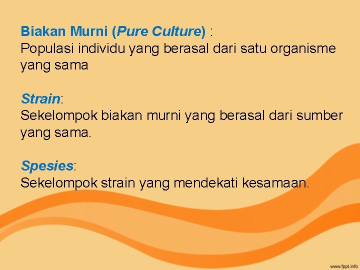 Biakan Murni (Pure Culture) : Populasi individu yang berasal dari satu organisme yang sama