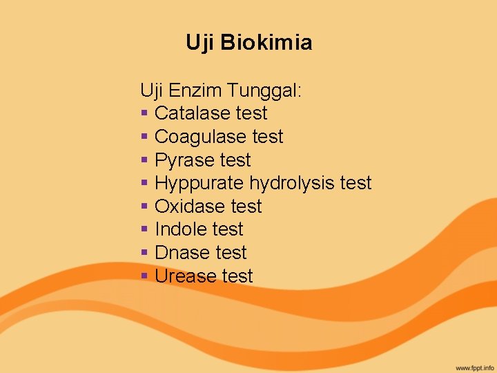 Uji Biokimia Uji Enzim Tunggal: § Catalase test § Coagulase test § Pyrase test