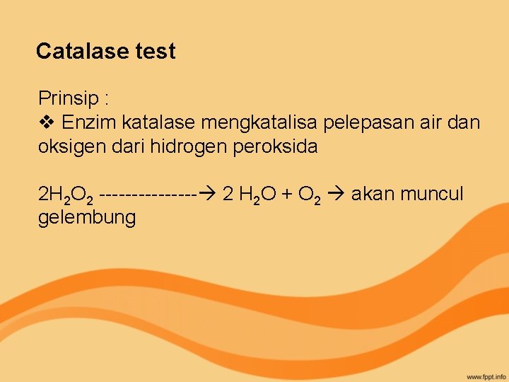 Catalase test Prinsip : v Enzim katalase mengkatalisa pelepasan air dan oksigen dari hidrogen