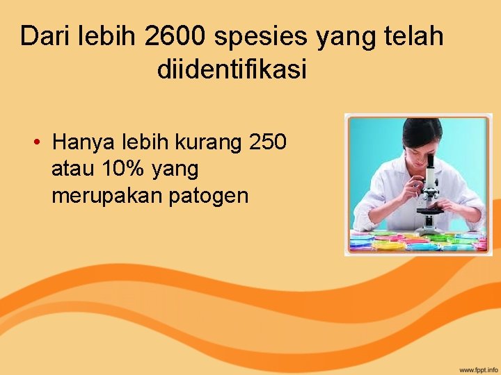 Dari lebih 2600 spesies yang telah diidentifikasi • Hanya lebih kurang 250 atau 10%