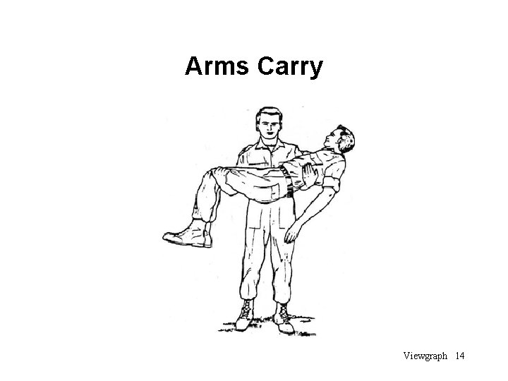 Arms Carry Viewgraph 14 