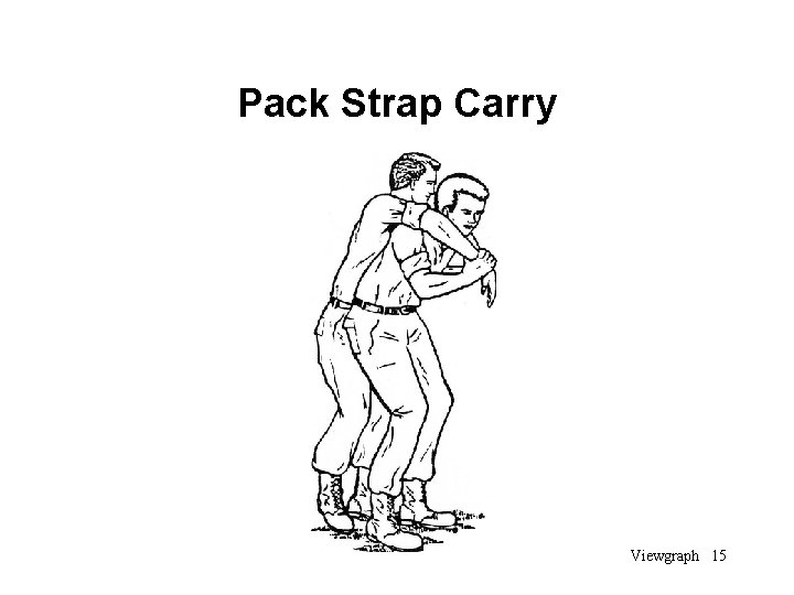 Pack Strap Carry Viewgraph 15 