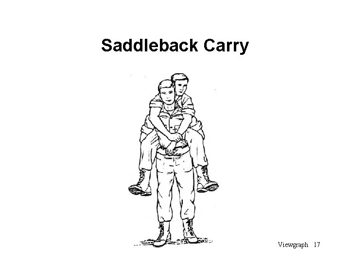 Saddleback Carry Viewgraph 17 