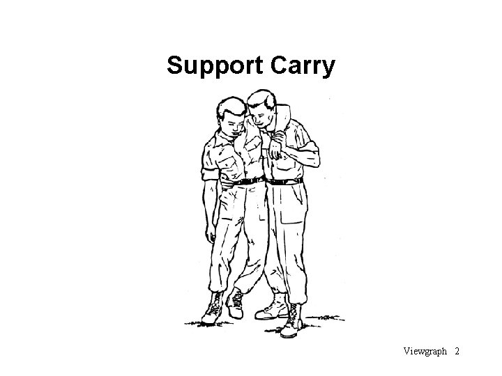 Support Carry Viewgraph 2 