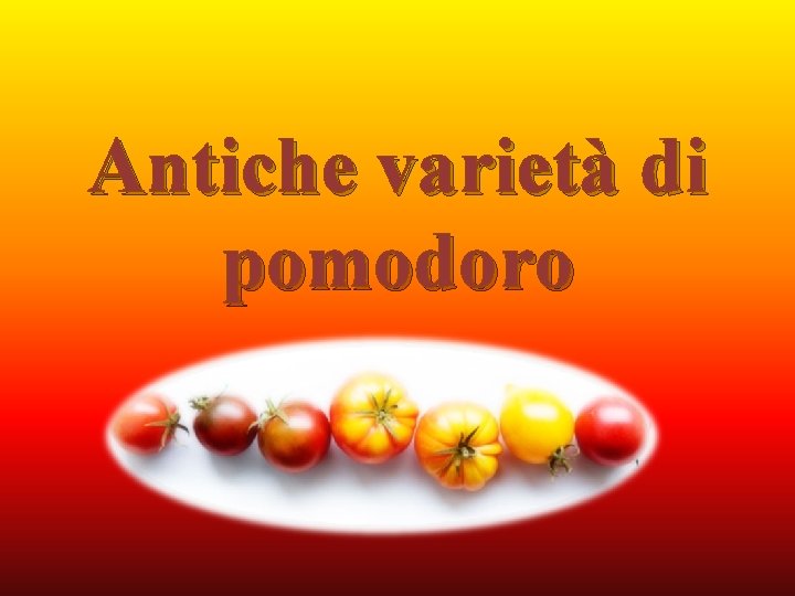 Antiche varietà di pomodoro 