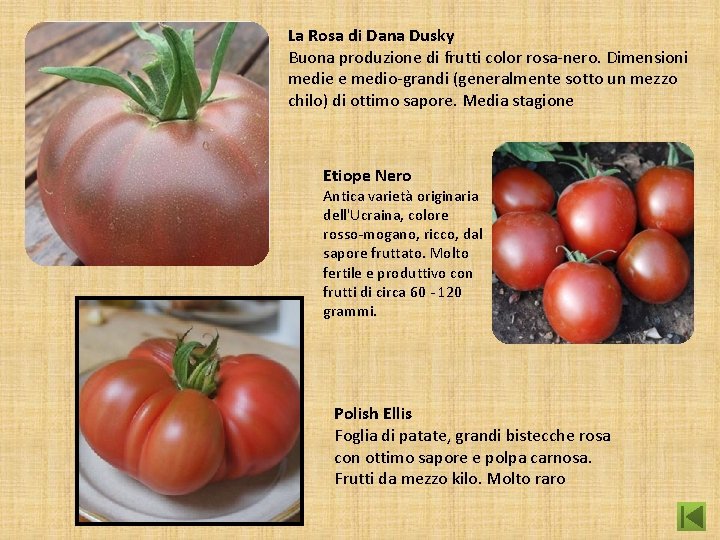 La Rosa di Dana Dusky Buona produzione di frutti color rosa-nero. Dimensioni medie e