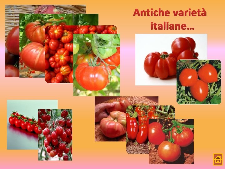 Antiche varietà italiane… 