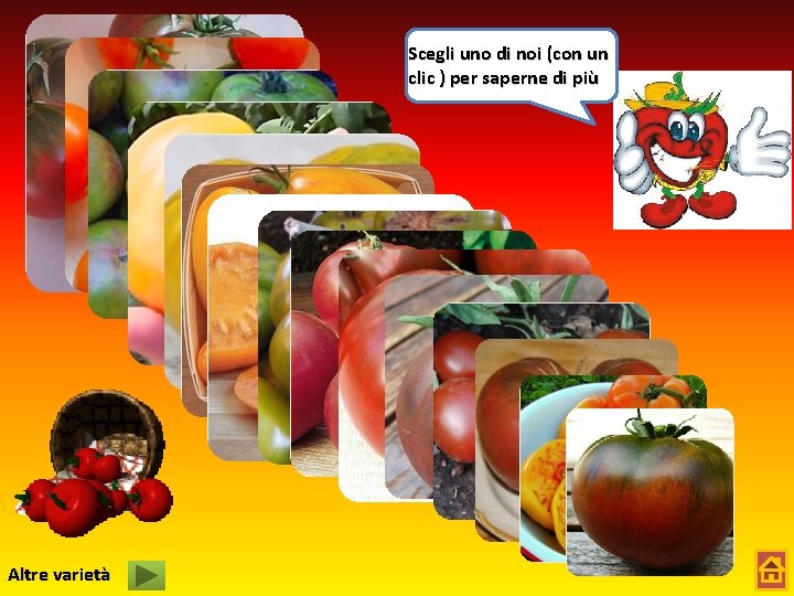 Scegli uno di noi (con un clic ) per saperne di più Altre varietà