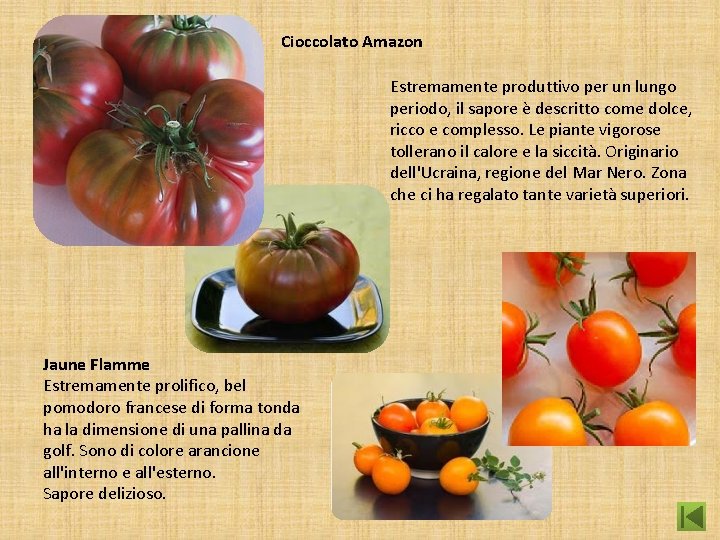 Cioccolato Amazon Estremamente produttivo per un lungo periodo, il sapore è descritto come dolce,